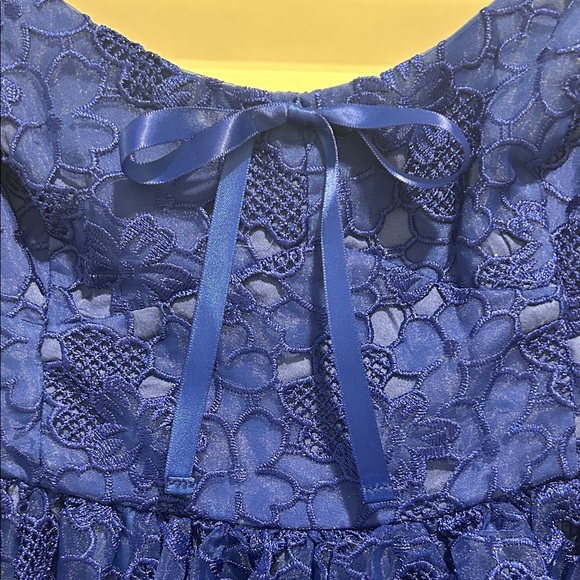 NWT Anthropologie Blue Lace Sleeveless Dress - Picture 3 of 8